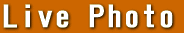 Live Phote
